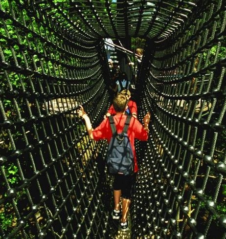Netzbr�cken und Netztunnel nach Ma�