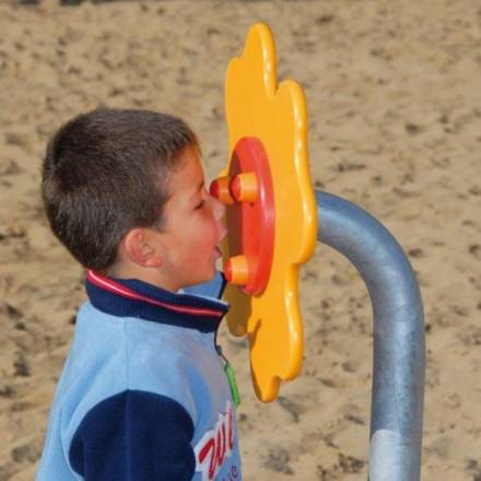 Spielelement Flsterblume