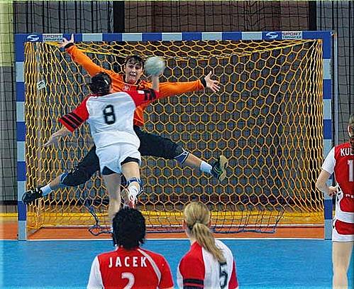 Hallenhandball - WM - Tornetze (1 Paar)