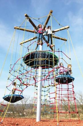 Vogelnestbaum Adlerhorst