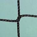 Fuballtornetze (1 Paar) aus Polypropylen, ca. 4 mm Maschenstellung quadratisch, 120 mm