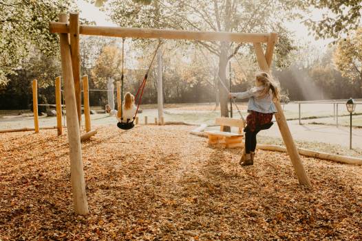2-Platz Schaukelgestell, Doppelschaukel aus Robinie inkl. 2 Sicherheitsschaukelsitzen AH 2,20 m, AH 2,50 m