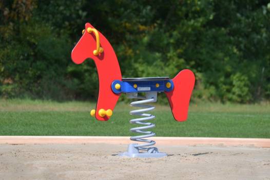 Wipptier Springpferd