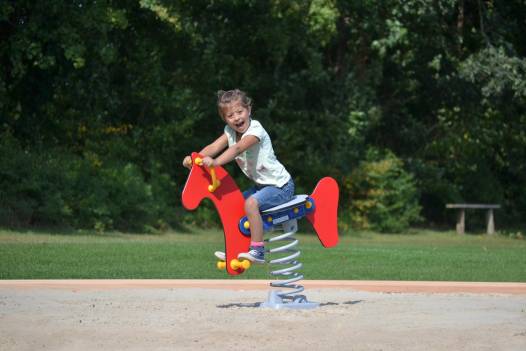 Wipptier Springpferd