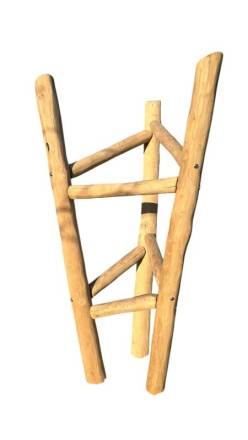 Kletterbaum Robinie