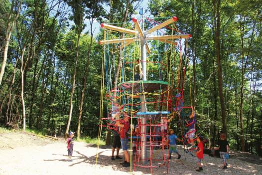 Vogelnestbaum Adlerhorst