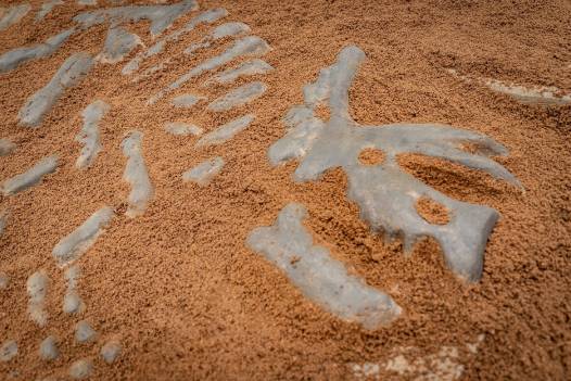 Dino-Platte fr Sandkasten