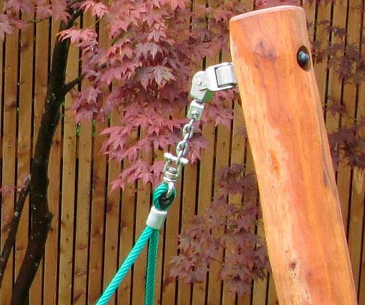 Mini-M-Schaukel Robinie