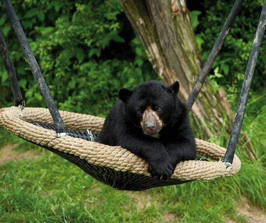 Schaukel, Original HUCK Vogelnest Schaukel