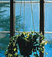 Isilink-Leine aus Polypropylen, 3 mm stark - Preis pro Rolle