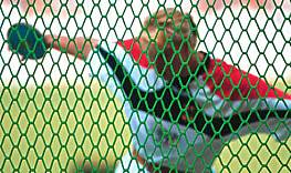 Zusatznetz fr schwenkbare Flgel