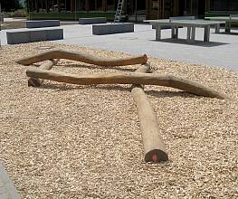 Balancezopf Robinie, Balancierzopf