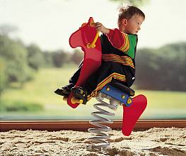 Wipptier Springpferd