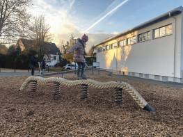 Balancier-Schlange Balancier-Schlange