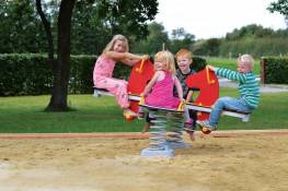 Wipptier Pony, 4-fach