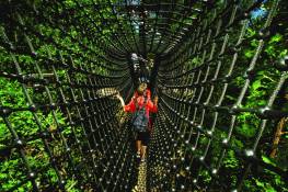 Netztunnel, Breite 75 cm, Hhe 120 cm, pro lfd. m
