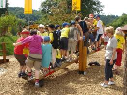 Stehwippe Douglasie mit Halteb�gel klassisch