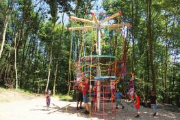 Vogelnestbaum Adlerhorst