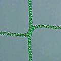 Mini-Hockey-Tornetze (1 Paar) aus Polypropylen hochfest, ca. 2,3 mm stark, Maschenweite 4,5 cm
