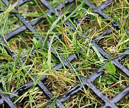 Rasenschutzgittermatte Preis pro m